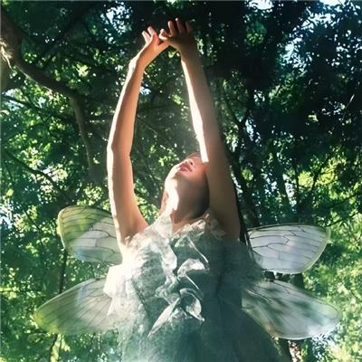 开局就得肉夹馍