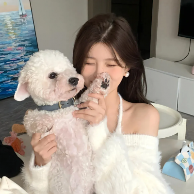 从鉴宝开始走上人生巅峰